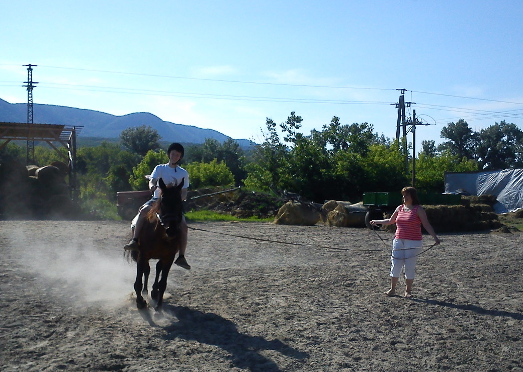 Futószáras oktatás a HSH Lovardában